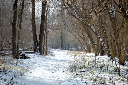 Park path photo