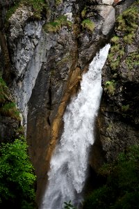 IMG_6914