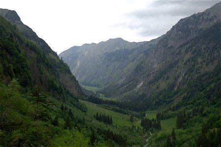 IMG_6978