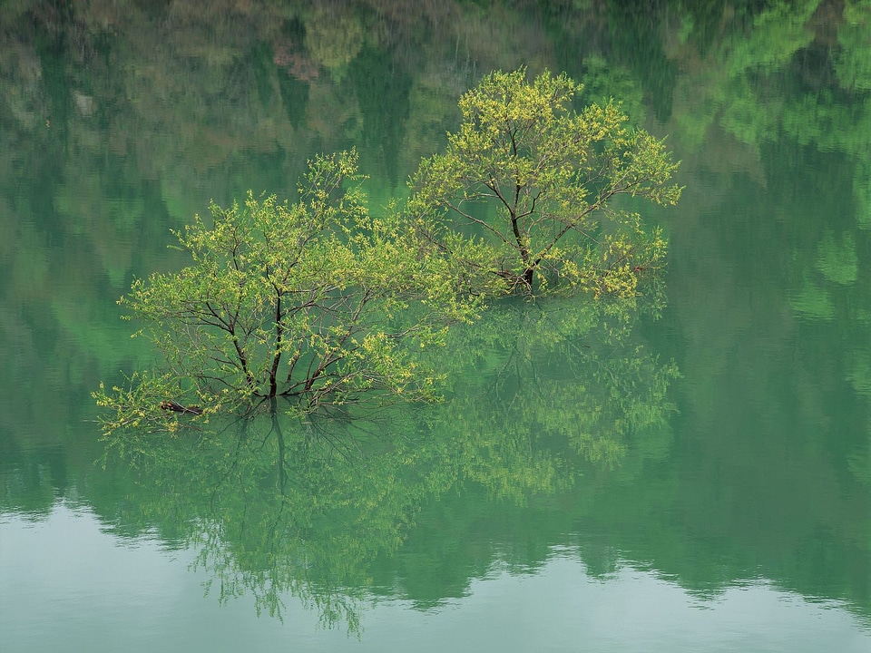 Kawaguchiko lake in summer - Landscape of Mountain