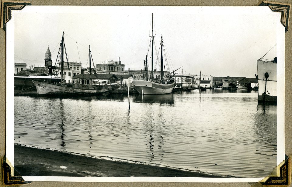 Old port, Tunis, Tunisia - Postcard