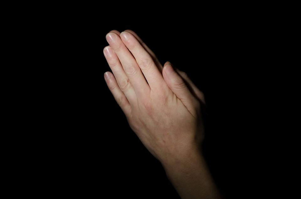 Praying Hands photo