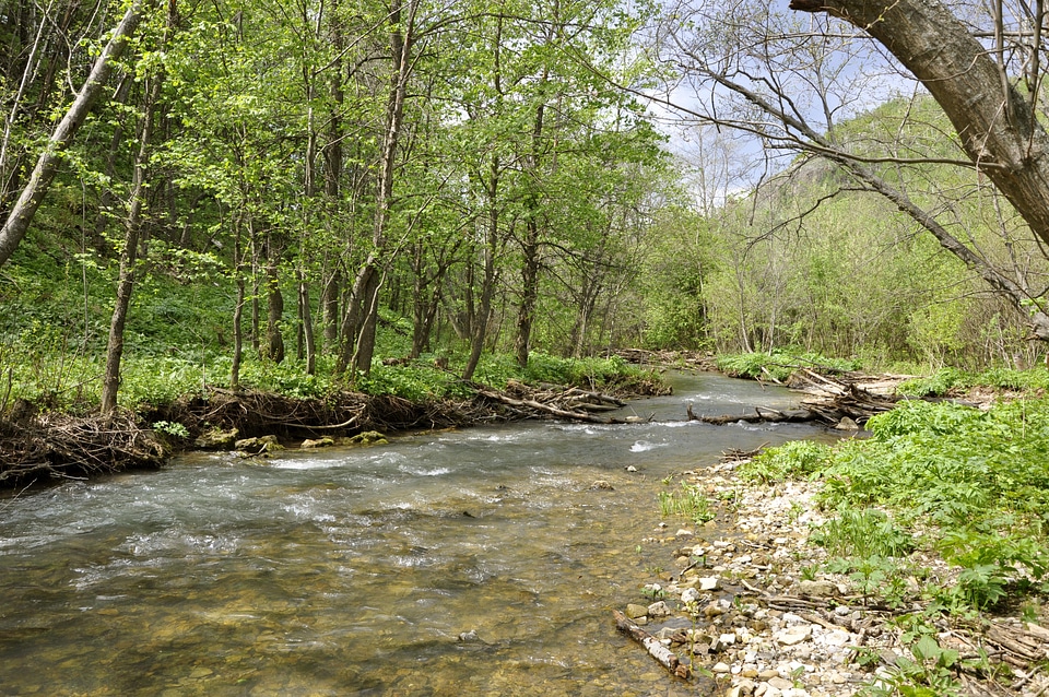 mountains trees and a river in front photo