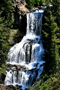 Waterfall through the pines photo