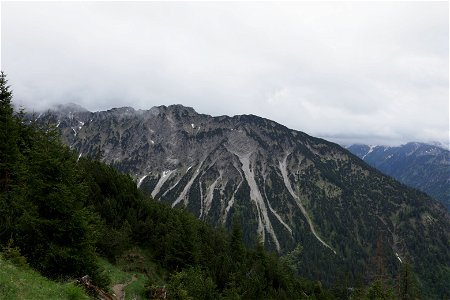 IMG_7100