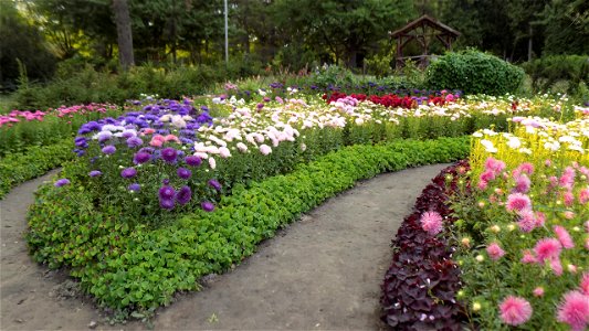 Hryshko National Botanical Garden photo