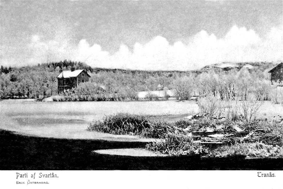 253 Parti av Svartån 1900