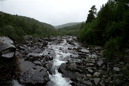 IMG_8111