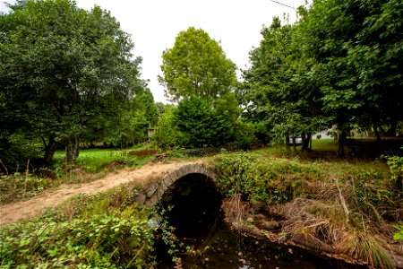 ponte ferreira