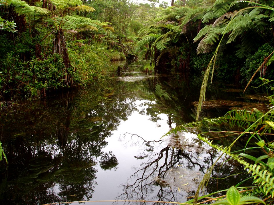 Upper Wailuku River