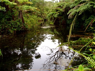 Upper Wailuku River photo