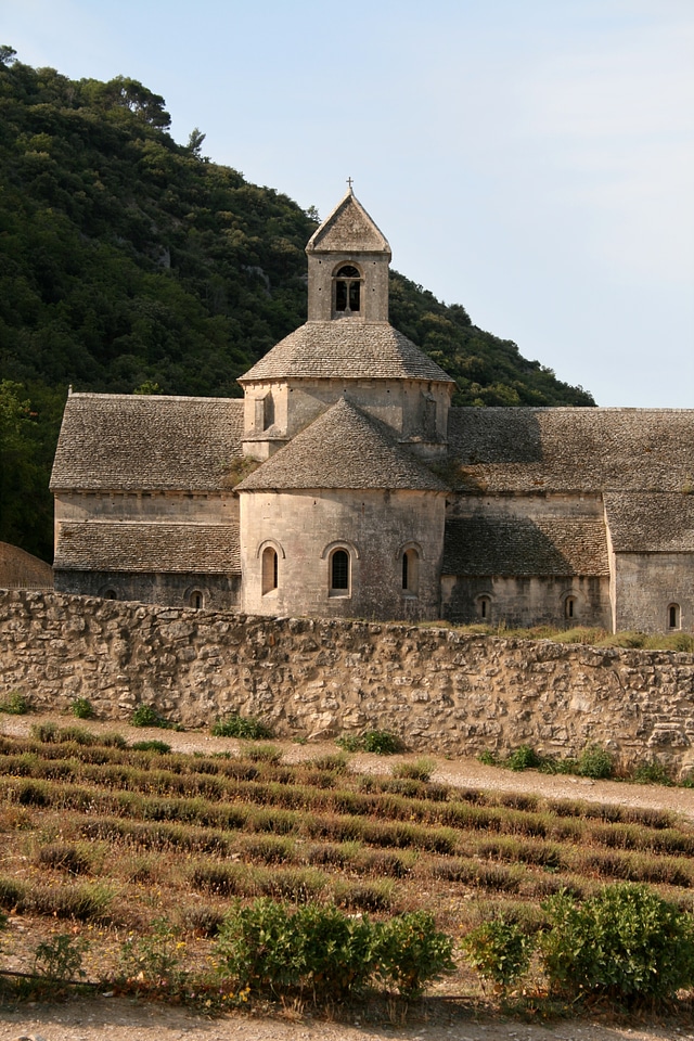 Notre dame de sénanque monastery lavender