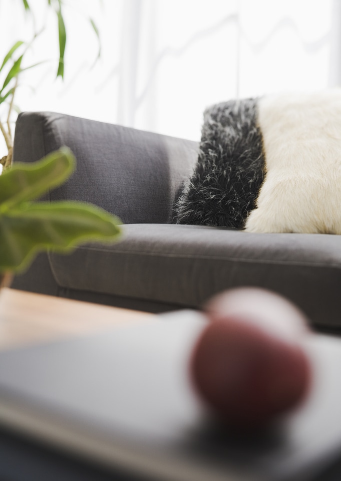 Living room interior with plant