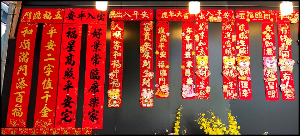 Decorations for CNY - CNY banners (春联) photo