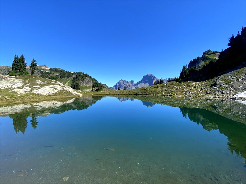 Yellow Aster Butte in WA