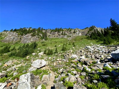 Yellow Aster Butte in WA