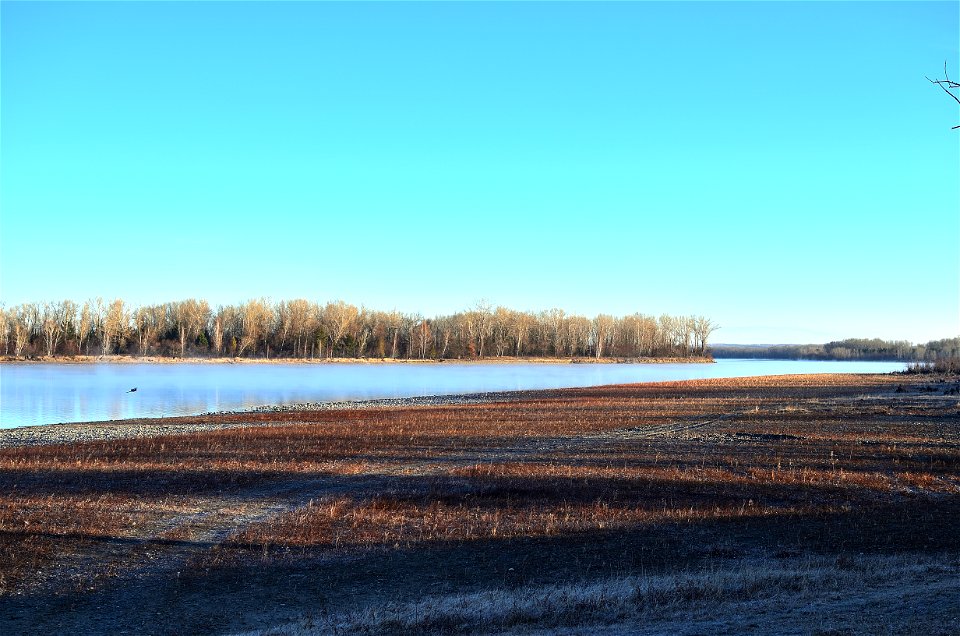 frosty morning on the river bank photo