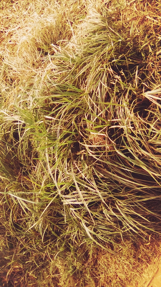 Nature11