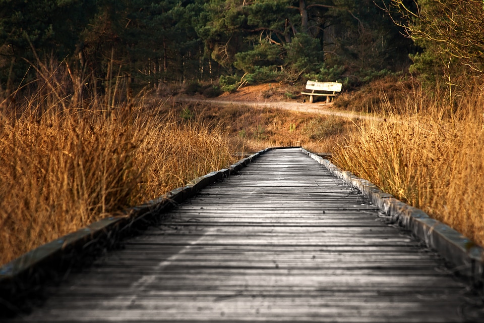 Nature conservation autumn landscape