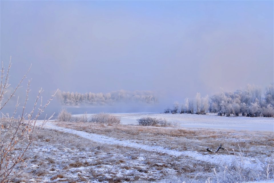 foggy frosty morning on the river bank
