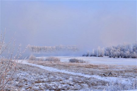 foggy frosty morning on the river bank photo