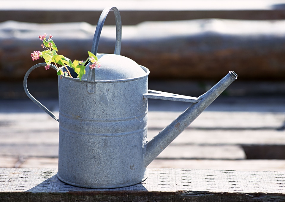 Flowers in watering can against on vintage wood photo