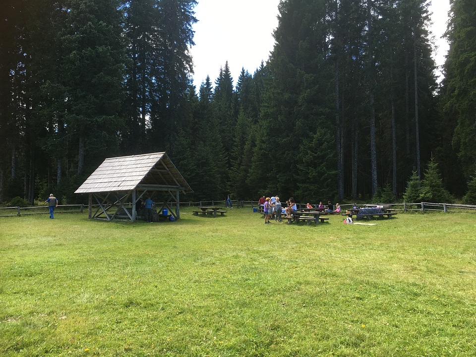 Picnic Area on the Pokljuka plateau