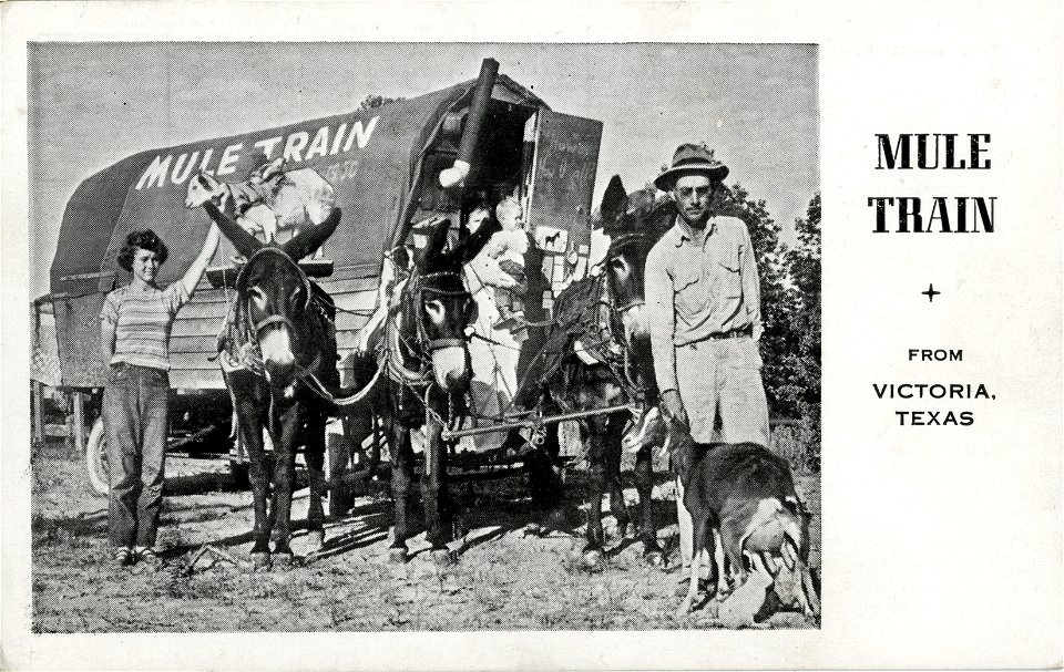 Mule Train, Victoria, Texas