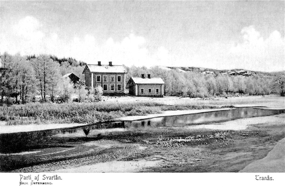 254 Parti av Svartån 1903