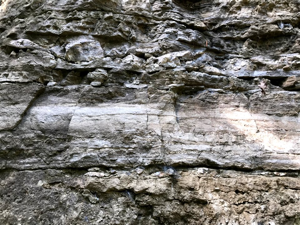 Cross bedding in sandstone of JC-Cotter Dolomite