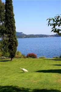 Isola Madre, Lake Maggiore