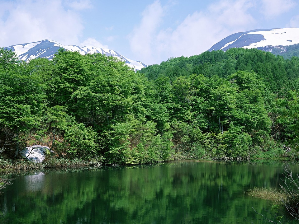 Mountain Fuji in Summer