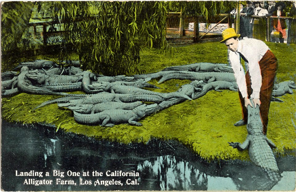 California Alligator Farm