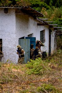 IMG_5571