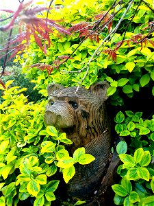 Bear Chainsaw Sculpture, 2022 photo