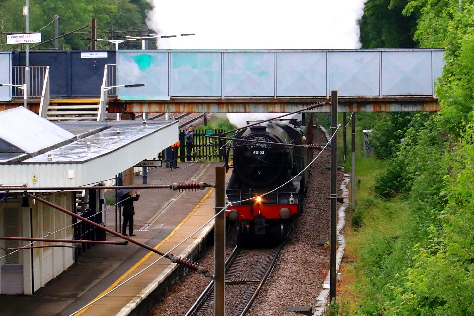 60103 Flying Scotsman at Oakleigh Park with 'The White Rose'