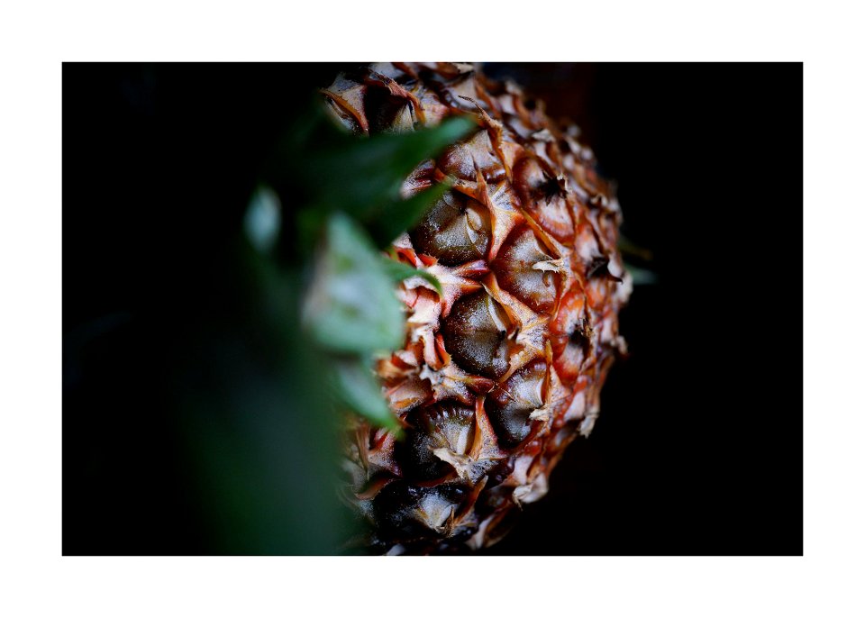 Pineapple
