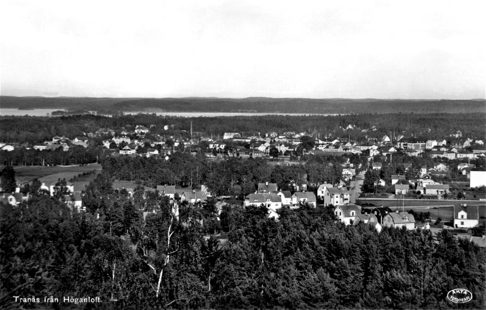 051 Utsikt från Höganloft 1951