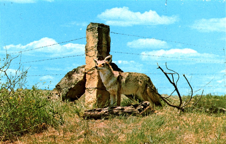 Limestone Posts Of Kansas