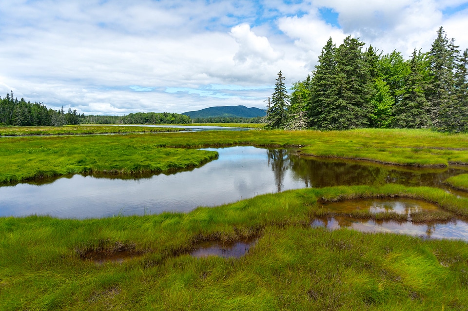 Acadia National Park