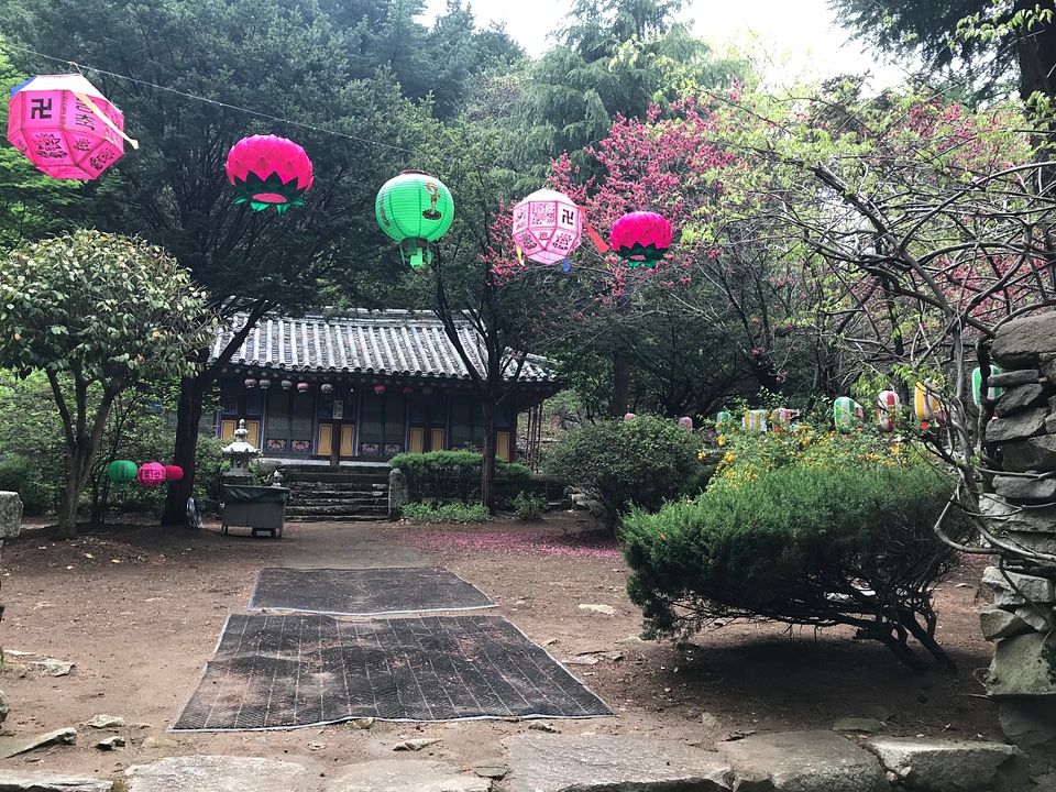Gajisan state park in South Korea