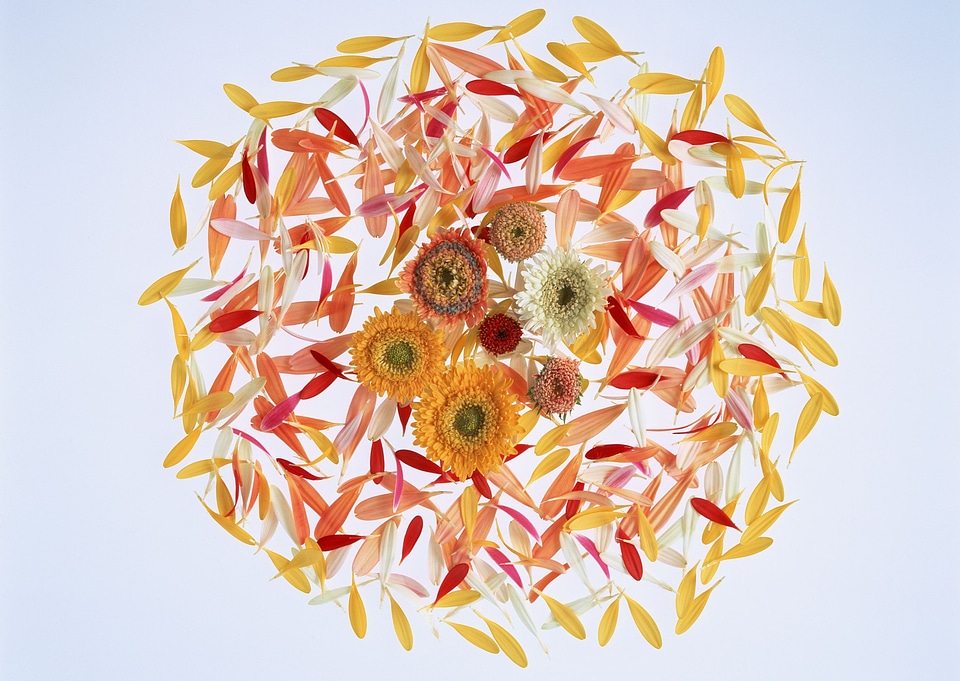 Bouquet of flower watercolor