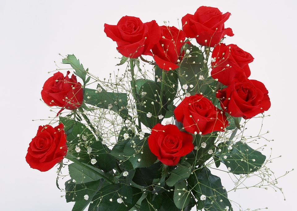 bouquet of roses in basket on white background