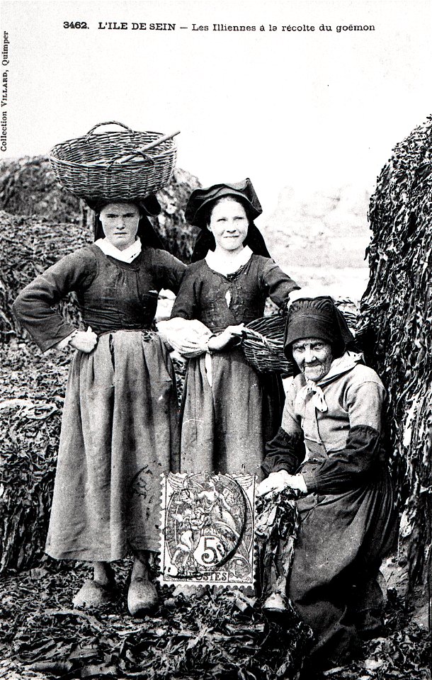 L'ILE DE SEIN 1900