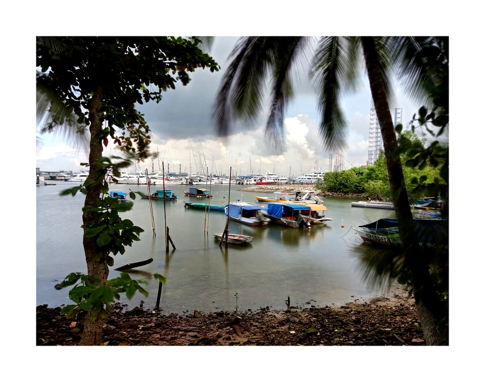 The leisure and the livelihood