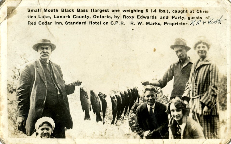 Small Mouth Black Bass, Real Photo Postcard