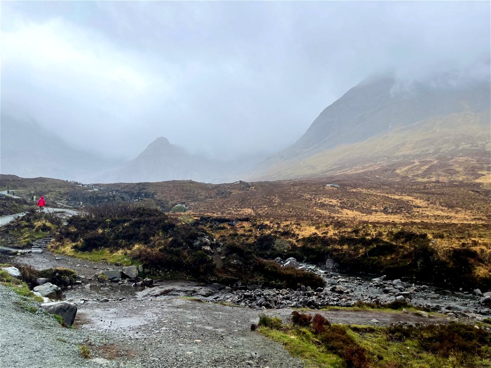 Scottish Highland