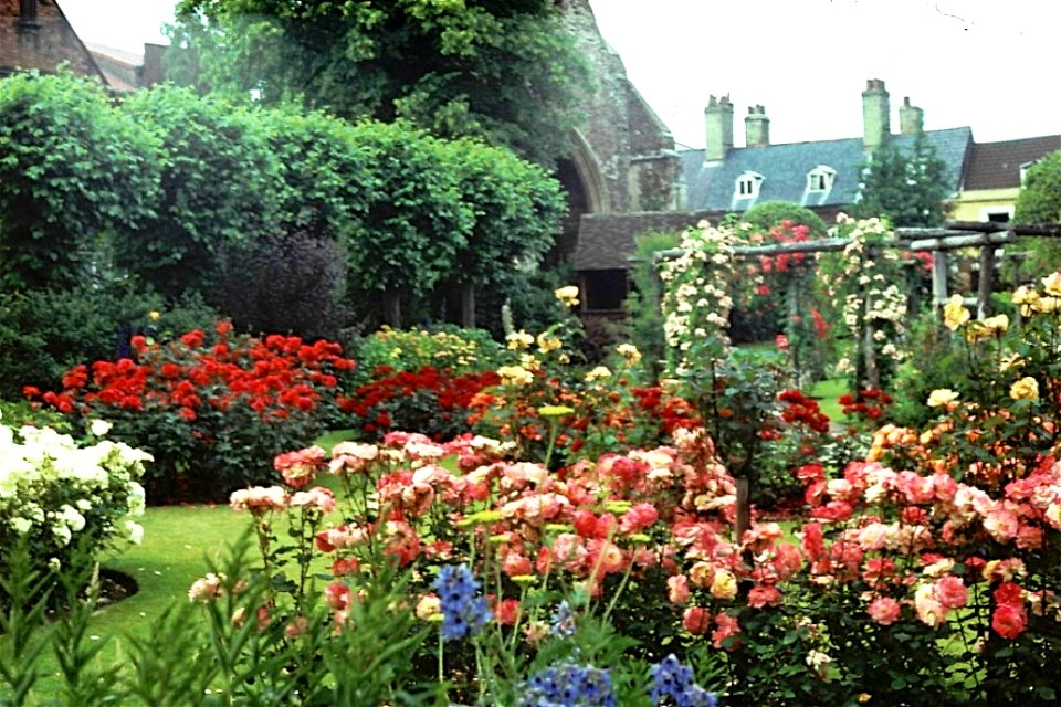King's Lynn, Norfolk, 1981