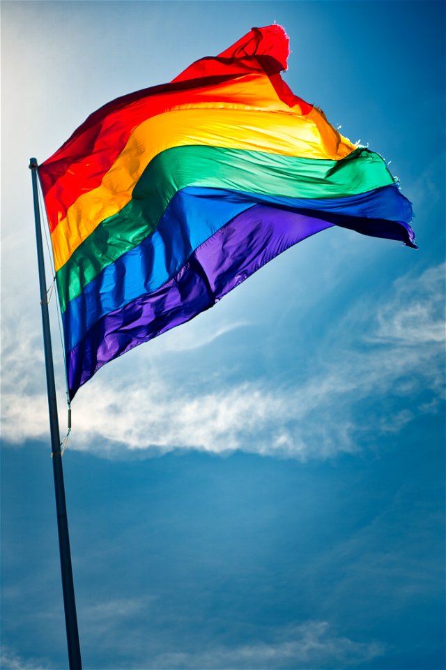 Pride flag, The Castro, San Francisco [0786]