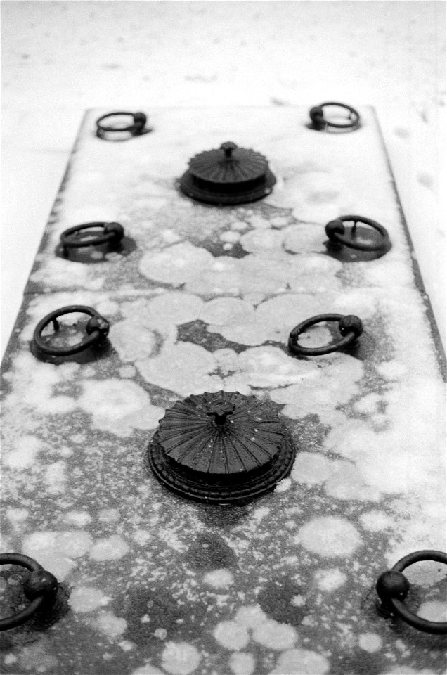 Cemetery diaries VIII